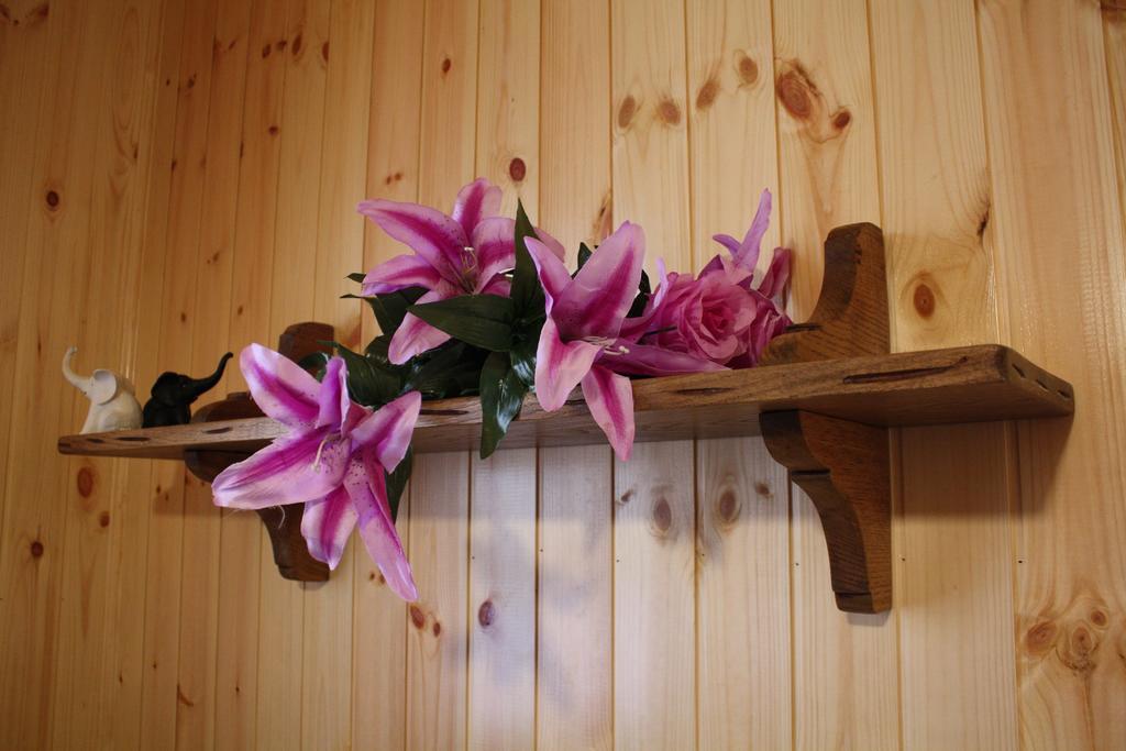 Home In Garfagnana Vagli di Sotto المظهر الخارجي الصورة